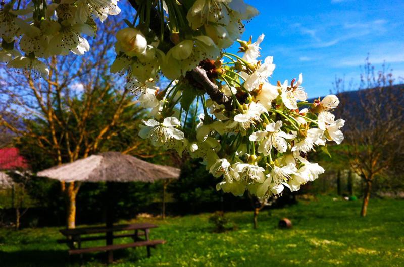 Arte Y Natura Valdivielso Quintana de Valdivielso Exterior foto