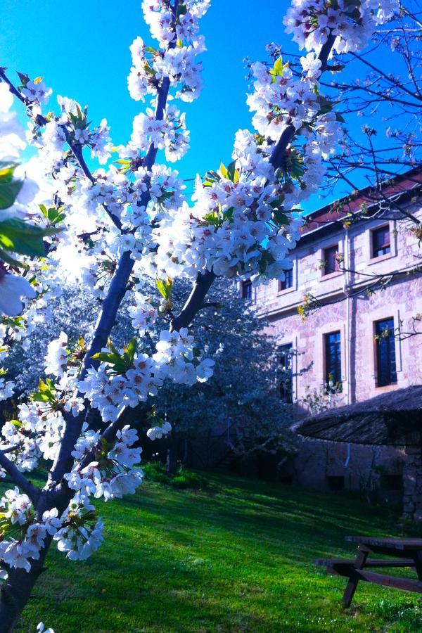 Arte Y Natura Valdivielso Quintana de Valdivielso Exterior foto